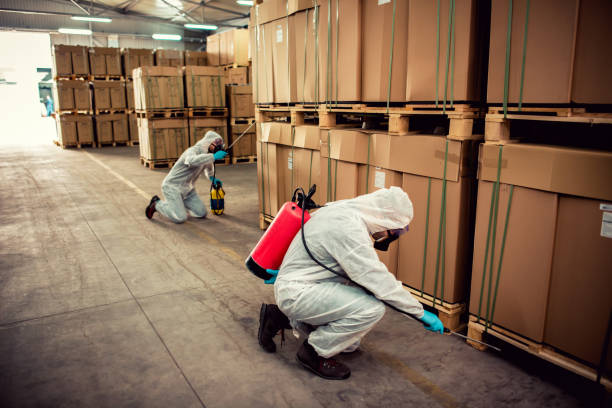 Best Affordable Pest Control Services  in Mountain Brook, AL