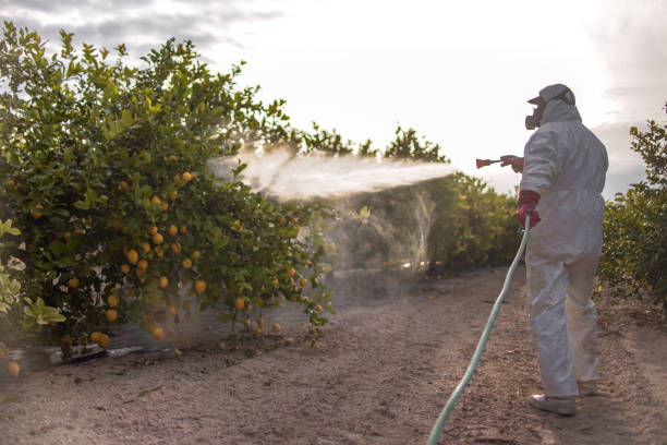 Best Pest Control Treatment  in Mountain Brook, AL