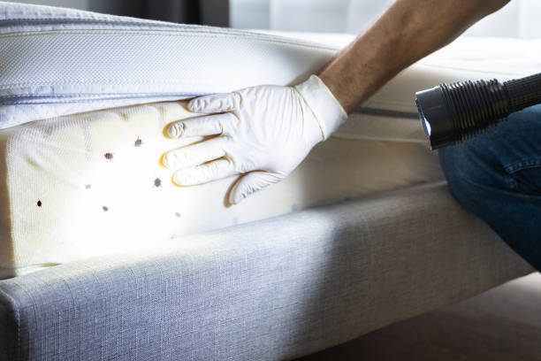 Best Emergency Pest Control  in Mountain Brook, AL