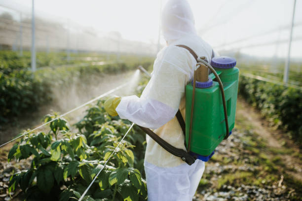Pest Prevention Services in Mountain Brook, AL